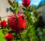 Beeindruckende ländliche Villa der Kategorie 5 ***** Sterne in der Gegend von Motovun und Groznjan - foto 13
