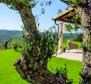 Beeindruckende ländliche Villa der Kategorie 5 ***** Sterne in der Gegend von Motovun und Groznjan - foto 14