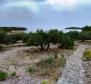 Einmalige Gelegenheit, 31.500 m² zu kaufen. Grundstück auf der Insel in der Nähe des Naturparks Kornati mit einem funktionierenden Restaurant und einem Yachthafen - foto 4