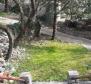 Maison avec 4 appartements à Smokvica, deuxième ligne à la mer (50m), double garage, à vendre - pic 2