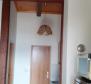 Maison avec 4 appartements à Smokvica, deuxième ligne à la mer (50m), double garage, à vendre - pic 21