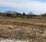 First line land plot for sale in Novigrad area over 1,7 ha - 17.246m2 - pic 5