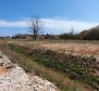 First Line Grundstück zum Verkauf in Novigrad Fläche über 1,7 ha - 17,246 m2 - foto 6