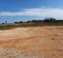 First line land plot for sale in Novigrad area over 1,7 ha - 17.246m2 - pic 7