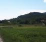 Hatalmas telek eladó Livade körzetben a Motovun völgyben, lakóépítkezésre - pic 3
