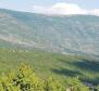 Immense terrain agricole en Istrie, plus de 1 million de m². - pic 5
