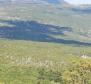 Immense terrain agricole en Istrie, plus de 1 million de m². - pic 7