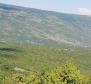 Immense terrain agricole en Istrie, plus de 1 million de m². - pic 8