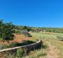 Exceptional agricultural land for sale with a project of 300 sq.m. villa with pool and tennis court, just 1500 meters from the sea - pic 5