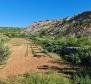 Exceptional agricultural land for sale with a project of 300 sq.m. villa with pool and tennis court, just 1500 meters from the sea - pic 6