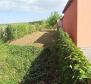 Small house for sale in Valbandon, Fažana - pic 18