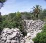 Opportunité unique de devenir maître de votre propre île à proximité de Mali Losinj - pic 8