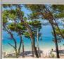 Reasonably priced hotel of seafront location on Makarska riviera! - pic 2