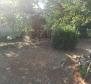 Steinhaus mit Garten zum Verkauf in Banjole nur 200 Meter vom Strand entfernt! - foto 32