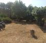 Steinhaus mit Garten zum Verkauf in Banjole nur 200 Meter vom Strand entfernt! - foto 38
