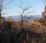 Земельный участок с панорамным видом в Вижинаде, 5.261м2 - фото 20
