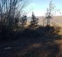 Земельный участок с панорамным видом в Вижинаде, 5.261м2 - фото 23