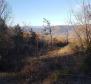 Земельный участок с панорамным видом в Вижинаде, 5.261м2 - фото 26