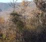 Земельный участок с панорамным видом в Вижинаде, 5.261м2 - фото 27
