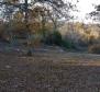 Земельный участок с панорамным видом в Вижинаде, 5.261м2 - фото 30