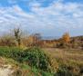 Land with panoramic views in Vižinada, 5.261m2 - pic 41
