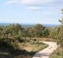 Wunderschönes Grundstück zum Verkauf in Buje mit entferntem Meerblick - foto 12