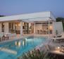 Luxury glamorous villa with pool worth Brad Pitt stay - pic 3