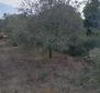 Land plot for sale in Banjole, 2.020m2, just 70 meters from the sea - pic 4