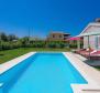 Villa with swimming pool, traditional Istrian face, MARČANA - pic 2