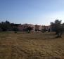 Exceptional offer of urbanized land just 200 meters from the sea in Umag-Novigrad area - pic 5