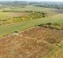Spacious agricultural land for sale in Buje area, 83.917m2 - pic 5