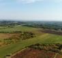 Spacious agricultural land for sale in Buje area, 83.917m2 - pic 7