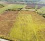 Spacious agricultural land for sale in Buje area, 83.917m2 - pic 9