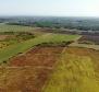 Spacious agricultural land for sale in Buje area, 83.917m2 - pic 12