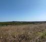 Spacious agricultural land for sale in Buje area, 83.917m2 - pic 16