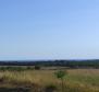 Spacious agricultural land for sale in Buje area, 83.917m2 - pic 17