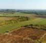 Spacious land plot for sale in Buje area, agricultural purpose, 39.178m2 - pic 3