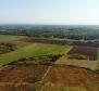 Spacious land plot for sale in Buje area, agricultural purpose, 39.178m2 - pic 4