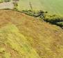 Spacious land plot for sale in Buje area, agricultural purpose, 39.178m2 - pic 5