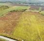 Spacious land plot for sale in Buje area, agricultural purpose, 39.178m2 - pic 7