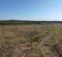 Spacious land plot for sale in Buje area, agricultural purpose, 39.178m2 - pic 8