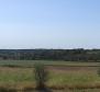 Spacious land plot for sale in Buje area, agricultural purpose, 39.178m2 - pic 11