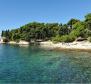 Urbanized land in Rovinj, 4.000m2 - pic 4