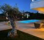 Villa spectaculairement attrayante avec piscine près de Porec - pic 34
