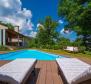 Modernly designed villa with pool on a large garden in Buzet area - pic 4