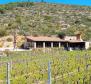 Fantastic property with a house and vineyards on Vis island - pic 2