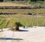 Fantastic property with a house and vineyards on Vis island - pic 5