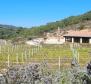 Fantastic property with a house and vineyards on Vis island - pic 6