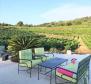 Fantastic property with a house and vineyards on Vis island - pic 8