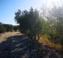 Groupe de terrains à vendre à Milna sur l'île de Brac, pour la construction de villas de luxe - pic 3